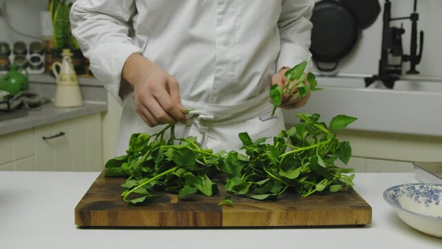 Nitpicking spinach raw leaves for salmon dish preparation 