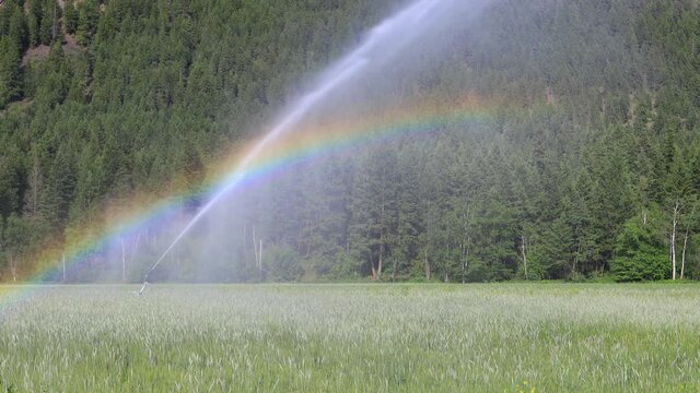 Irrigation Sprinkler Agricultural Equipment Farm