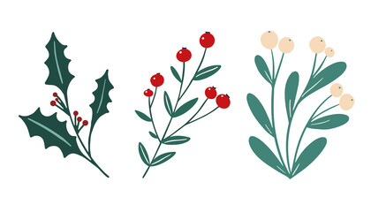 Winter foliage floral elements set: white berry mistletoe, holly berry branch. Festive Christmas flowers clip art in simple hand drawn style isolated on white background