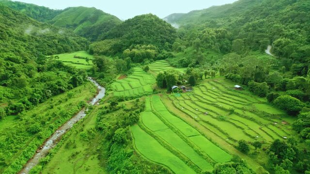 Beautiful aerial view of rice paddy field in Sapan village a small village nestled in a forested northern valley of pure air and pristine rivers in Nan province of Thailand.
