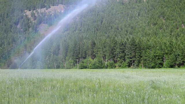 Irrigation Sprinkler Agricultural Equipment Farm