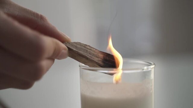 Person lighting up Lignum vitae or Wood of Life on candle,close up