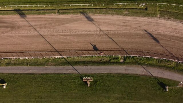 Aerial top down of horse walking on racecourse during sunny day - Silhouette of horse on sandy ground