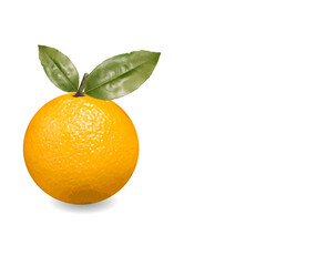 Illustration, a mandarin orange and 2 leaf, isolated, white background.