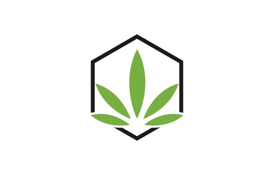 cannabis icon and cannabis drug logo design
