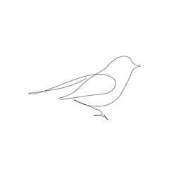 Bird silhouette line drawing vector illustration