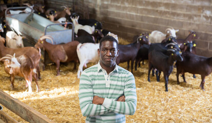 Confident African American man owner of goat farm posing in stall on background with herd of goats