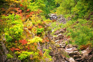 晩秋に染まる定山渓温泉