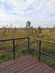 An observation deck with a wooden deck over the swamp, with a view of the grass and low trees against a beautiful sky with clouds.
