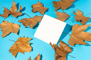 Naklejka na ściany i meble Creative autumn composition made of dried leaves and paper on a light blue background. Autumn, fall concept. copy space.