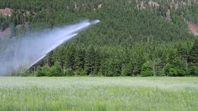 Irrigation Sprinkler Agricultural Equipment Farm