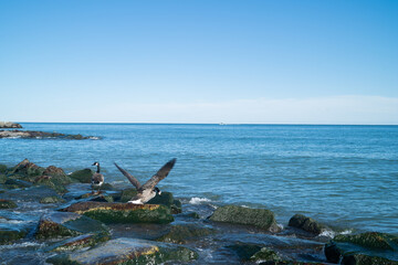 Fototapeta na wymiar The Balmy Beach on a sunny day in Ontario Canada