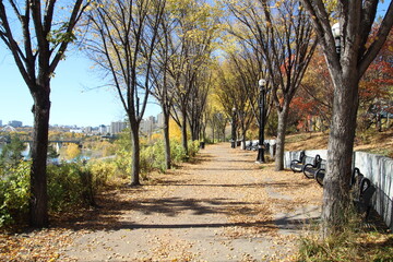 Trail In The Park, Louise McKinney Park, Edmonton, Alberta