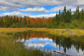 Fall Colors on Northern Kettle Bog Lake