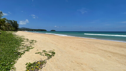 Empty beach. Panorama, seascape. Green foliage at the sea coast. Yellow clean sand. Tropical paradise. Wide panoramic view. Bright colors. Turquoise sea water and white foam of waves. Asian resort.