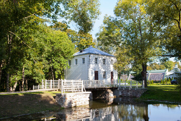 Large tree branches hang over the lake in the park. Lake shore in summer. Without people.