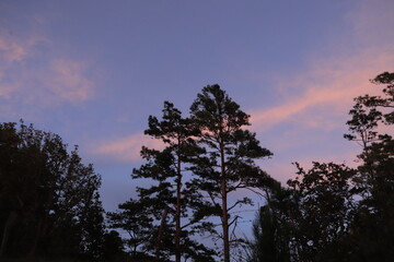 Obraz premium Sunset