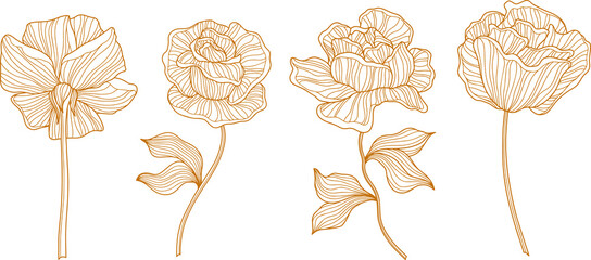 Rose flowers and leaves. Isolated on white. Hand drawn line vector illustration. Eps 10