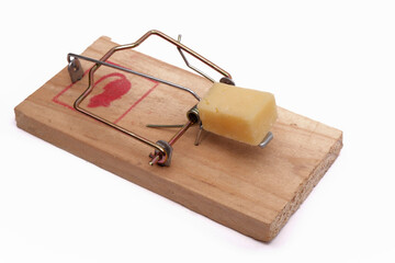 a piece of cheese lies on a mousetrap isolated on a white background