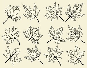Collection of simplicity maple leaf freehand drawing flat design.