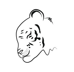 tiger head side view. Hand drawing tiger