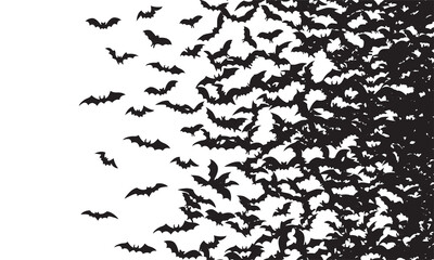 Black silhouette of flying bats flock isolated on white background. 