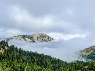 Hurricane Ridge