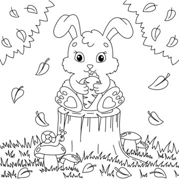 A cute rabbit holds a carrot in its paws. Coloring book page for kids. Cartoon style. Vector illustration isolated on white background.