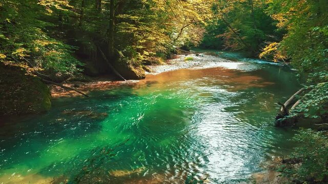 Seamless video loop Cinemagraph of the mountain river canyon Taugl in Tyrol, Austria, close to Mozart birthplace Salzburg on a sunny summer day. The water is rushing through naturally formed rocks.