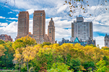Obraz premium Trees and buildings from Central Park in foliage season, New York City.