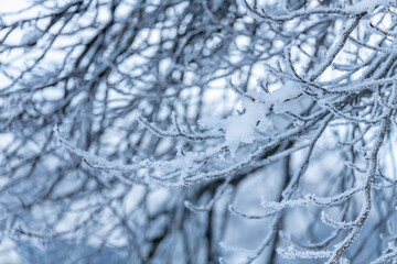 After the snowfall. Dusk on the Sappada plain. Magic of winter.