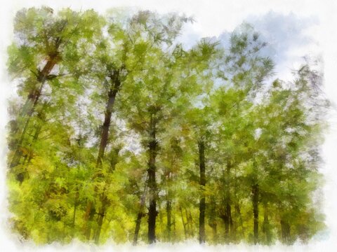 landscape of trees watercolor style illustration impressionist painting.