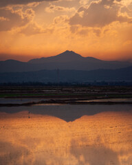Reflejos en el campo.