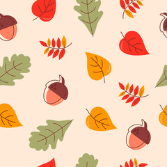 Autumn leaves of red yellow green color acorns on a beige background