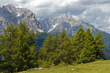 Bergwiesen und Bäume vor den Gipfeln der Sextner Dolomiten, Pustertal, Alpen, Südtirol, Italien 