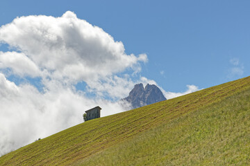 Abgemähte Bergwiesen mit dem Gipfel der Schusterspitze in den Sextner Dolomiten, Pustertal, Alpen,...