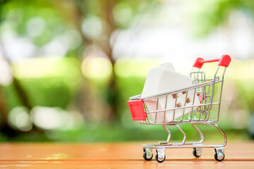 House on shopping cart. Real estate concept.	
