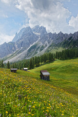 Blühende Bergwiese mit einer Holzhütte vor Gipfeln der Sextner Dolomiten, Pustertal, Alpen,...