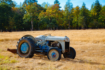 Antique tractor in grass pasture with forest in background landscape