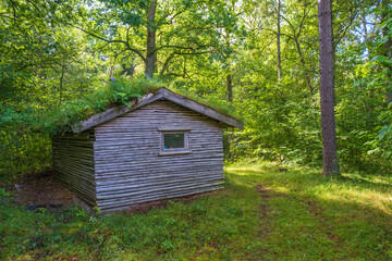 Log cabin with grass roof at a path in the forest