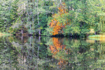 Autumn colors reflected in a lake