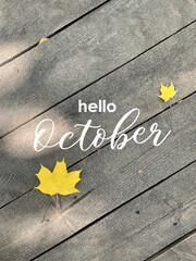 Golden autumn maple leaves on sunny day. Great season texture with fall mood. Nature september and october background with hand lettering Hello October.