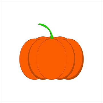 pumpkin vector  on white background image for web, presentation, logo, Icon Symbol. 