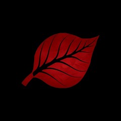 red leaf on black