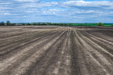 Fototapeta na wymiar A plowed field in early spring prepared for planting vegetables