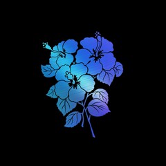 black and white flowers