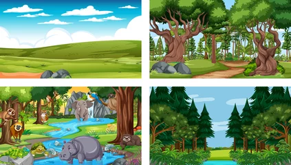 Foto op Canvas Set of different forest horizontal scene with various wild animals © blueringmedia
