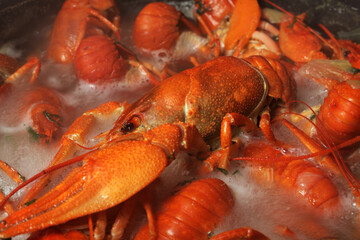 crayfish boil in boiling water, close-up, selective focus