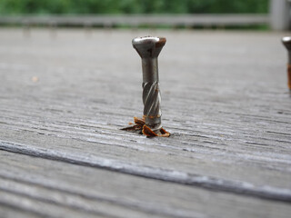 Screw unscrewed during the renovation of a wooden terrace.
