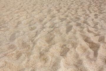 Natural sandy background. The texture of the sand in the desert